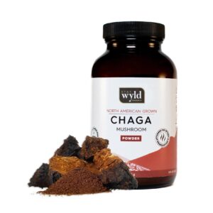 Stay Wyld Organics Chaga shroom Powder 100g