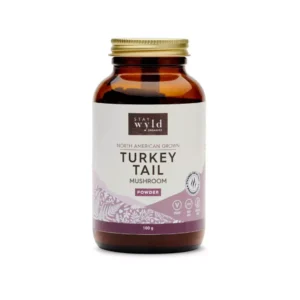 Stay Wyld Organic mushroom – Turkey Tail Powder (100g)